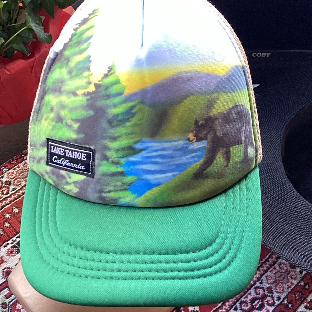 Kids' Green Scenic Bear Hat
